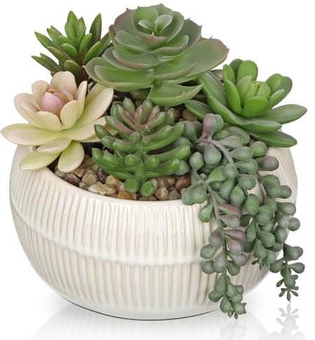 Oairse Plantas artificiales suculentas artificiales en maceta redonda de cemento plantas artificiales pequeñas como reales plantas artificiales pequeñas decoración para salón, dormitorio, cuarto de