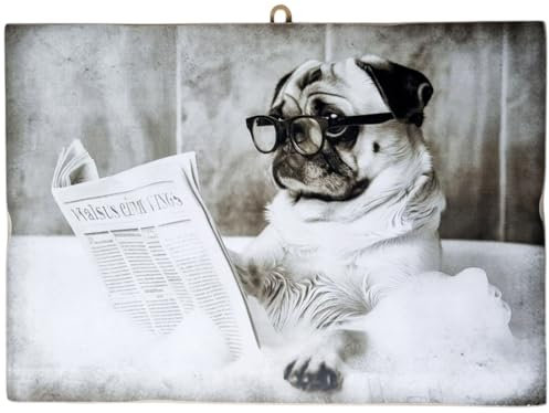 KUSTOM ART Bild Serie Tiere Toilette Hund Mops mit Brille auf Badewanne Druck auf Holz 25 x 18 cm