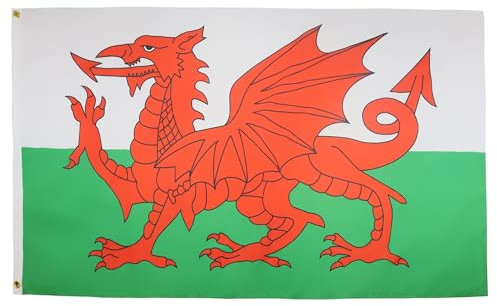 AZ FLAG - Bandera Gales - 90x60 cm - Bandera Galesa 100% Poliéster Con Ojales de Metal integrados - 50g - Colores Vivos Y Resistente A La Decoloración