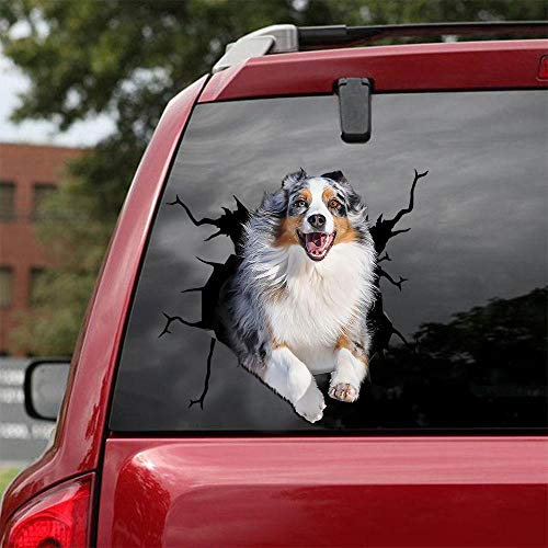 Ocean Gift Autoaufkleber Australian Shepherd Autoaufkleber Hund 2 Stück - Realistische australische Schäferhund Aufkleber für Autofenster, Wände Serie 41 Größe 20,3 x 20,3 cm