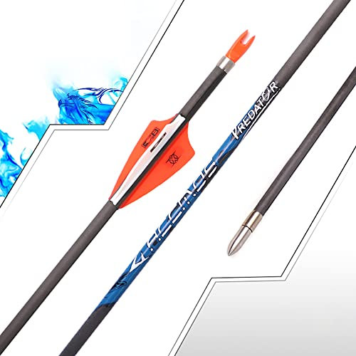ACCMOS ID 4,2 mm Pfeil aus Reinem Kohlenstoff Spine 600 Jagd Übungspfeil, für Recurve Bogen Compoundbogen Bogenschießen 12 Stück (Spine 600, 32inch)