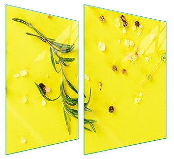 TMK ArtDeko Tabla de cortar decorativa de cristal templado y cubre vitro, Placa protectora de vitrocerámica 70 x 52 cm 2 piezas, para inducción, protección contra salpicaduras, Sal