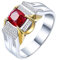 Ring Männer 61, Herren Ring Rubin 18 Karat Weißgold Lab Rubin 0.95CT Rot Ovalschliff VVS mit Diamant Natur Weiß Npassbar für Valentinstag