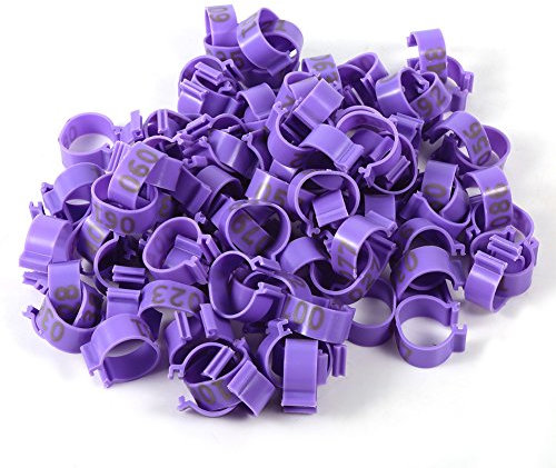 Nikou 100 Stück/Beutel 001–100 Nummerierte hühnerringe Geflügel FußRinge mit Plastikringe für Geflügel, Hühner, Enten, Gänsebeine (purple, Innendurchmesser 16x16 mm)