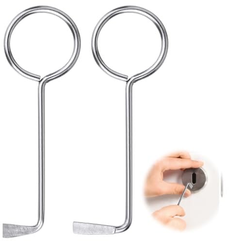 Flintronic Llave Maestra, 2 Piezas Llave Maestra para Abrir Puertas, Llave Maestra para Abrir Todas Las Puertas, Llave Maestra para Abrir Puertas de Casa, para Puertas con Cerradura de Cilindro
