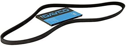Dayco 6PK965 Keilrippenriemen | 6PK965 für C-Elysee C1 C4 C-Max Focus