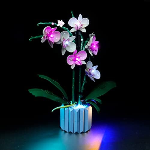LED Light Kit for Lego Orchid 10311 Plant Decor Building Set; Decoration Lights Build a Succulents Display Piece for The Home or Office ( Lights Only, No Lego Models)