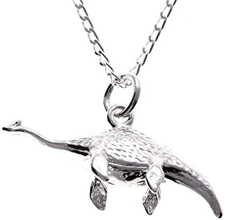 Alexander Castle 925 Sterlingsilber-Halskette mit Plesiosaurus-Anhänger Loch Ness Monster 30 mm x 12 mm mit 18-Zoll-Silberkette und Schmuck-Geschenkbox – Schottische Geschenke für Frauen und Männer