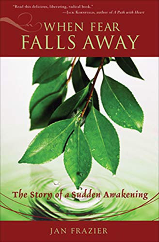 When Fear Falls Away: The Story of a Sudden Awakening (English Edition)