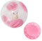 Andiker Hamsterball, Transparent Hamsterrad Laufkugel für Hamster & Mäuse Plastik Spielzeug Langeweile beseitigen und die Aktivität steigern Laufrad Hamsterrad (20 cm, Pink)