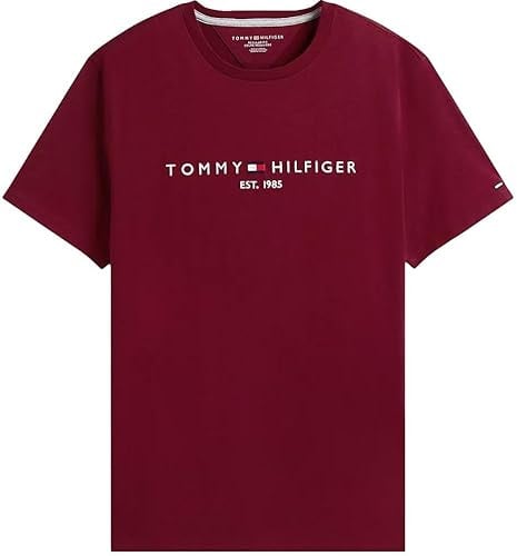 Tommy Hilfiger Herren-T-Shirt, normale Passform, gesticktes Tommy-Logo, Rundhalsausschnitt, T-Shirt Kollektion 2024, Größe L, Weiß, Klein