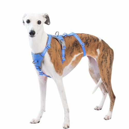 Huntboo Sicherheitsgeschirr Hund Ausbruchsicher, Panikgeschirr für Hunde, Anti Zug Hundegeschirr, Reflektierend, Verstellbare, Leichte Weste für kleine, mittelgroße und große Haustiere (Meeresblau,L)