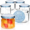 com-four® 6X Einmachgläser Winter Edition to Ø 82 mm - 330 ml mit Schraub-Deckel im winterlichen Design, blau-weiße Marmeladengläser, Glas mit Schneeflocken-Deckel, Einmachglas Weihnachten