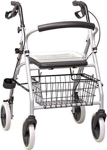 ROLLATOR mit Korb und Tablett blau 1 St