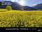 Colourful World - Kalender 2021 - Harenberg-Verlag - Fotokalender - Wandkalender mit farbintensiven Landschaften - 43,8 cm x 33,8 cm
