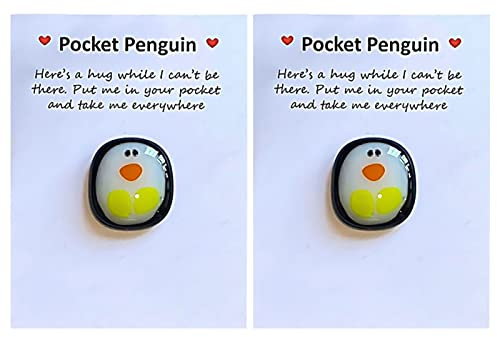 Pocket Penguin Hug, Taschenumarmung Niedlich Eine Taschen Pinguin Umarmung mit Ermutigend Grußkarte, Mini Pinguin Geschenk Gute Besserung Geschenke Kleine Trost Geschenke für Frauen Männer (2 Stück)
