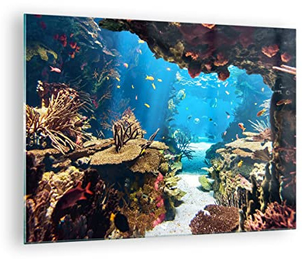 Bilder auf Glas Ozean Riff Fische Koralle Glasbild 70x50cm Wandbilder Dekoration Wohnzimmer Schlafzimmer Küche Deko Klein Wanddeko Bild im Glas Wand Kunstdruck Art Modern Wall Decor GAA70x50-2872