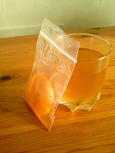 Kombucha Scoby Small Size