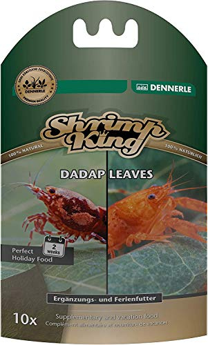 Dennerle Shrimp King Dadap Leaves - Premium Laubfutter für Garnelen und Krebse (10 Stück)