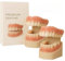 Glidewellpd Premium Zahnprothese, Smileasego Premium Zahnprothese, Weiches Silikon Reline Zahnprothesenset, Silikon Zahnprothese Vollmund, Zahnprothesen Reparaturset für Männer (2pcs)