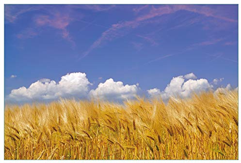 Wallario Küchenrückwand selbstklebend 90 x 60 cm, Motiv: Kornfeld unter blauem Himmel | Spritzschutz abwischbar & pflegeleicht