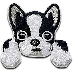 Hund Pocket Tier - Aufnäher, Bügelbild, Aufbügler, Applikationen, Patches, Flicken, zum aufbügeln, Größe: 3,4 x 3,7 cm
