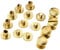 The Lord of the Tools Chicago Screw Rivets Brass Binding Screw Nut 6mm Rod Length for Belt, Bag, Clothing, Pet Collar Book 10 Pairs