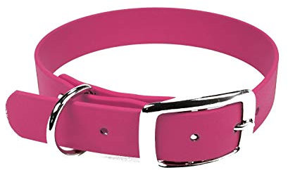 LENNIE BioThane Halsband, Dornschnalle, 25 mm breit, Größe 38-46 cm, Magenta, Aufdruck möglich