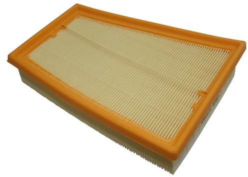 nnenraumfilter mit Aktivkohle Luftfilter/Passend for Renault Scenic II 2.0L 2003-2009 Megane II 1.6L 2.0L 2003-2007 CC RS 2.0t 2008-820371661