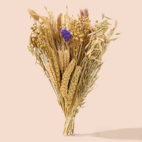 BUCATSTATE 60 piezas de ropa de cama natural para hámster, flores, hierbas y aerosoles para decoración de hábitat de jaula, cereales para jerbos sirios enanos, ratones, ratas, forraje, enriquecimiento