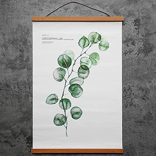 TTBAODAN Cadre Photo Magnétique, Aimanté Affiche Rail Bois - Utilisé pour Accrocher des Cartes, des Peintures à l'huile, des Affiches, des Photos, Poster Impression d'art Largeur: 40 cm