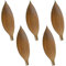 matches21 Deko Kokosschalen Naturdeko Bastelmaterial Gestecke Herbst Winter getrocknet Natur 5er Set 30-40 cm