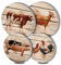 Farm Animal Round Metal Hob Covers 4-Piece Stove Plate Cooker Hob Covers for Electric Cookers Top Burner Gas Range Oven Protector Kitchen Tools Accessories Modern Cooktop Framhouse Kitchen Decor