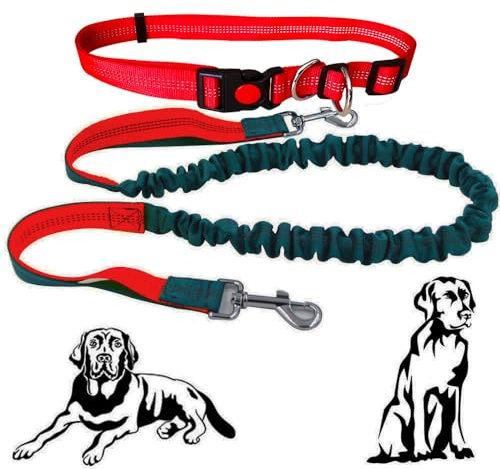 Senvenelec 1 st utdragbart hundkoppel, 16 fot (5 m) – 10 m (33 fot) röd, silikon, spänne