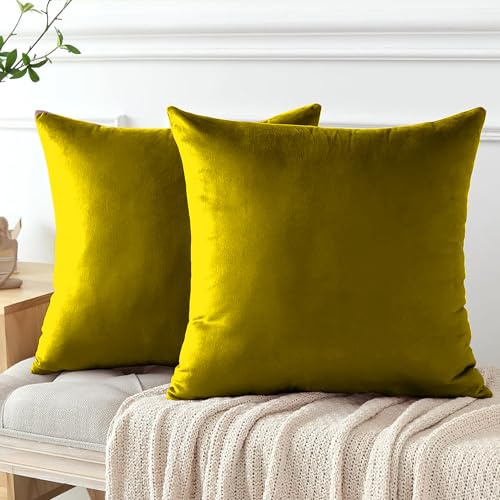 My home store Samt-Kissenbezüge, Kissen, 45 x 45 cm, hochwertige dekorative Wurfkissenbezüge, goldfarben, für Sofa, Wohnzimmer, mit unsichtbarem Reißverschluss, 2 Stück