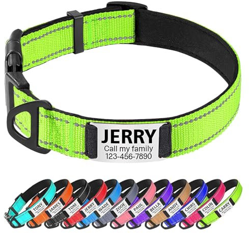 TagME Hundehalsband personalisiert, Reflektierendes gepolstertes Nylon Hundehalsband für mittelgroße Hunde mit Namen und Telefonnummer