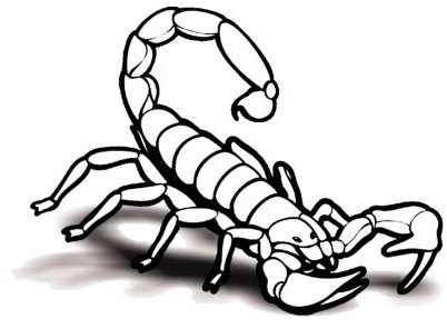 Aufkleber Scorpio - schwarz - 18x13cm