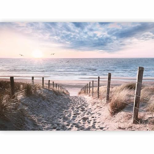 murando Papier peint intissé Plage Mer 300x210 cm Décoration Murale XXL Poster Tableaux Muraux Tapisserie Photo Paysage Oiseau Nature c-C-10032-a-a