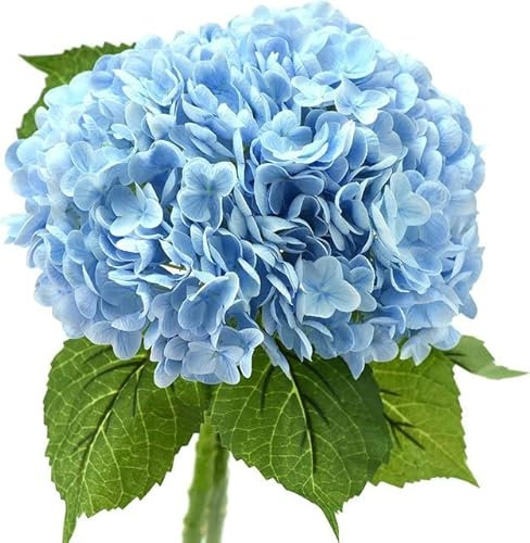 BHADANI Ortensia Fiori Artificiali Lattice 21 Pollici Grande Ortensia per la Decorazione Domestica Bouquet da Sposa Matrimonio 3 Pezzi-3 Pezzi Azzurro