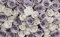 Forwall Fototapete Blumen Rosen Vintage 3D Romantik Retro Wohnzimmer Schlafzimmer Vlies Tapete Wandtapete UV-Beständig Hohe Auflösung Montagefertig (1626, V8 (368x254 cm) 4 Bahnen)
