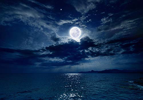 wandmotiv24 Fototapete Nächtlichter Himmel Vollmond Meer Sterne, M 250 x 175 cm - 5 Teile, Wanddeko, Wandbild, Wandtapete, M4866