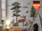 Osomhome | FOREST MYSTERY XXL | Wandsticker Wandtattoo Kinderzimmer | Wanddeko Babyzimmer | Wandbilder Jugendzimmer | Wald Waldtiere | (ms3631)