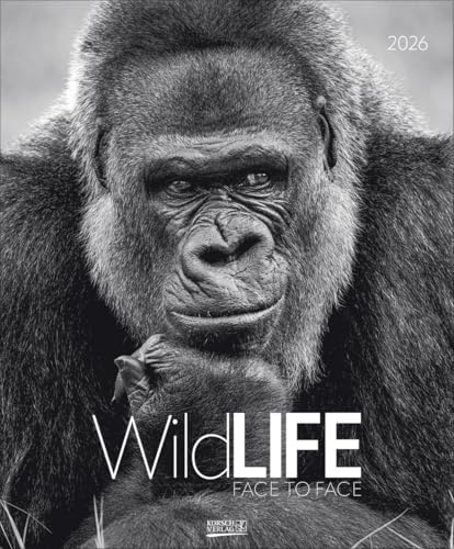 WildLife - face to face - Kalender 2026 - Art-Format - Korsch-Verlag - Fotokalender mit Tierportäts in schwarz-weiß - 45,5 cm x 55 cm