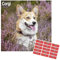 Corgi Kalender 2021 | Eckiger Hunderasse Wandkalender | 16 Monate | mit Organisationsaufklebern