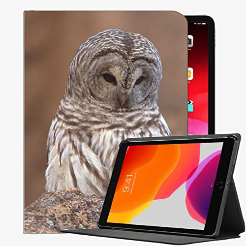 For iPad Air 1st Generation Case,Owl Bird Sadness 96 Case Slim Shell Cover For ipad Air 9.7 inch