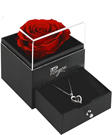 LAC FOR YOU Ewige Rose mit Kette - Infinity Rose Rote im Glas Geschenk für Frauen Jahrestag - Mama Geschenk Geburtstag