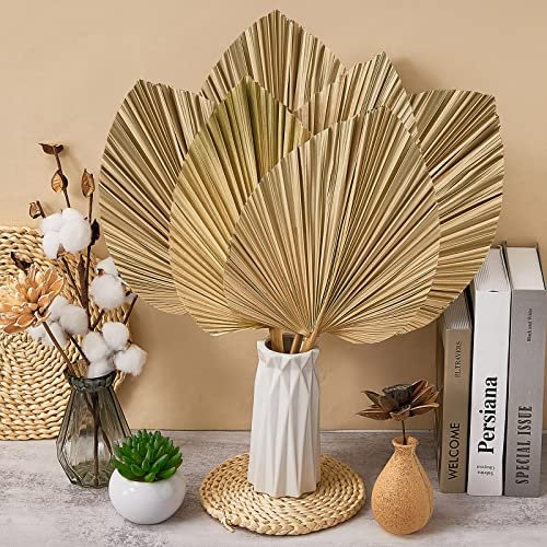 8 Pieces Large 20 x 9 Inch Dried Palm Leaves Party Decorations Natural Trimmed Dried Palm Spear Heart Shaped Palm Fans Tropical Dried Wedding Flowers for Boho Wedding Decor Vase Table Arrangements