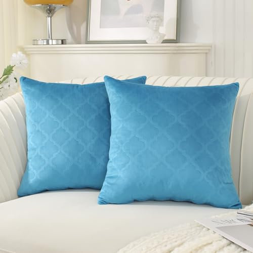 Ystyle Fundas de Cojines 40x40 Decoracion Hogar 2 Piezas Terciopelo Suave Funda para Cojin Sofa Cama Salon de Estar Hogar Dormitorio Sillas Jardin Habitación de los Niños, Azul