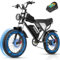 Q20 Electric Bike, 75 Miles Long Range, 48V 20Ah Removable Battery, 90Nm High Torque Motor, 7 Speed Gears, 20 Fat Tyres and Dual Suspension, Max Load 150kg for Mountain, Commuting