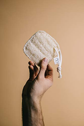 Éponge Luffa pour la cuisine et le nettoyage